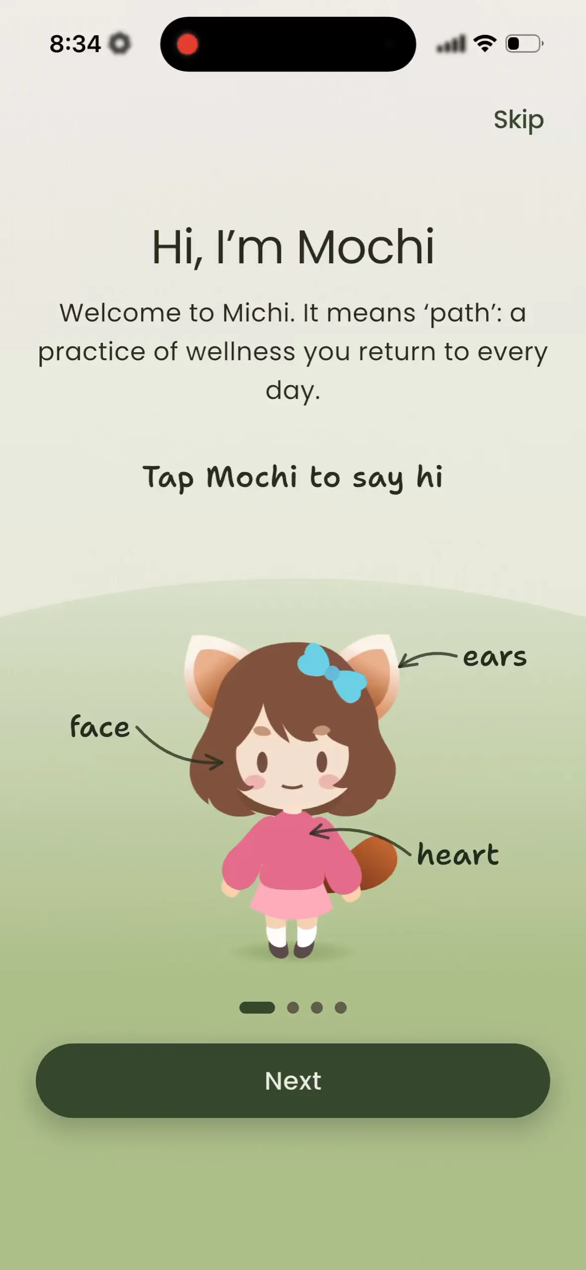Michi: Saying hi to Mochi, picking a friend (Mochi, Momo or Maui), the panic button intro, landing on Home.